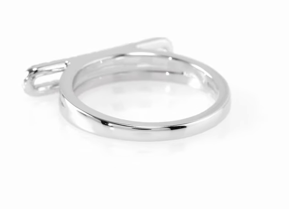 Sleek and contemporary diamond ring